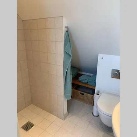 Tag I Hyggelig Landsby Pa Stevns